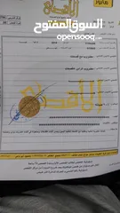  3 كيا بيكانتو
