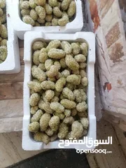  1 يرجد توت ابيض اسود تركي