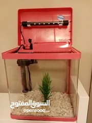  2 Fish Aquarium - حوض سمك