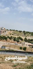  19 ارض للبيع في عجلون بجانب قلعه الربض