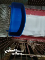  2 قفص عصافير للبيع بسعر مغري