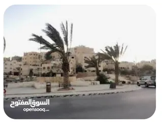 3 قطعة أرض للبيع – طبربور / حوض أم العقارب