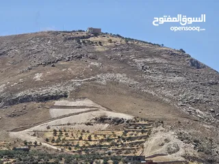  1 11 دونم للبيع في ماحص نزول وادي شعيب