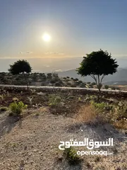  22 مزرعة في مغاريب السلط من المالك مباشرة