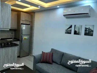  13 Furnished apartment for monthly rent in North Abdoun.