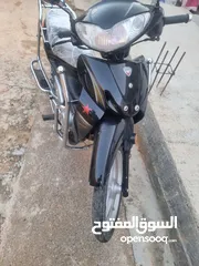  8 جليق evca 2024