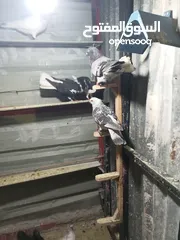  10 حمام بيع مستعجل للبيع