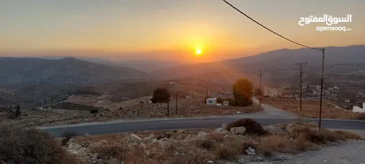  2 ام قنطره اجمل قطعه في المنطقه ارض للبيع دونمين و 100م للبيع في جرش ام قنطره