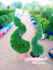  26 تنسيق حدائق