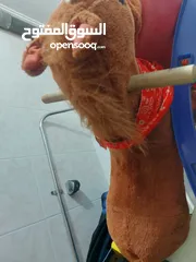 1 حصان هزاز للبيع