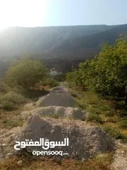  22 ارض للبيع في الحمه الاردنيه مزروع جوافه وكل انواع الحمضيات بثلاثه قواشين مستقلات ومتلاصقات لمالك واح