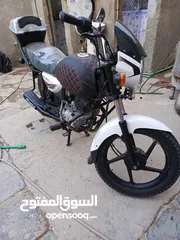  5 بوكسر 2020سنويه