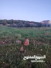  4 قطعة ارض مميزه في عجلون منطقة اشتفينا السياحية