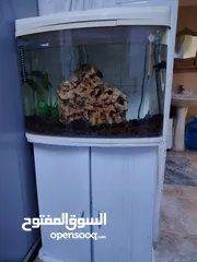  4 حوض سمك اجنبي قياس 50ب 30 للبيع ب 20 دينار