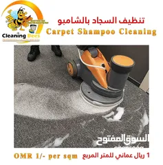  3 Carpet and Sofa Cleaning / Pest control service