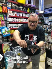  2 أكبر سمكه زبال في الاردن