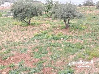 6 2300 م السلط المغاريب قطعة ملوكية تصلح ل فيلا او مزرعة اطلالة ع الغرب و جبال فلسطين