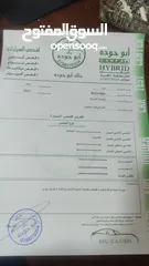  11 تويوتا كورولا موديل 2021 وارد امريكي ليثيوم
