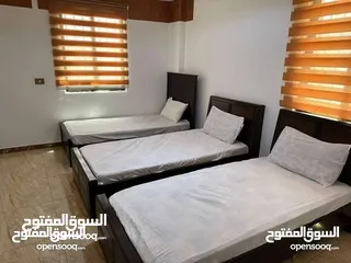  7 شاليهات واكواخ الغابه الخضرا عجلون منطقه اشتفينا
