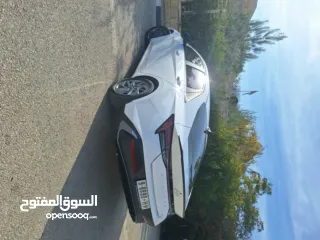  5 انس احمد بعيرات