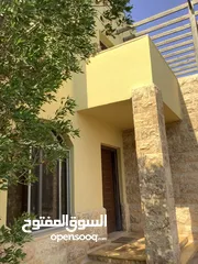  12 مزرعة في البحر الميت/ الشونه الجنوبية / السويمه / حوض جلد مميزة للبيع للجادين فقط
