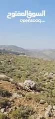  1 قطعة ارض في سنجل للبيع