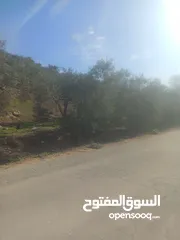  8 ارض زراعيه في بلعا دير الغصون