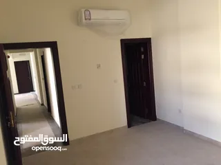  11 flat 3 BHK for rent in mansoura