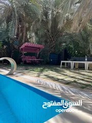 12 مزارع وشاليهات للايجار اليومي