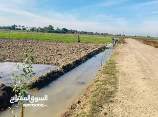  3 دوانم طابو زراعي للبيع ابو غريب