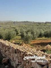  2 للبيع قطعة ارض ثلاث دنمات ونصف منطقة نادرة جرش بسعر مميز
