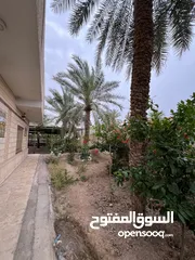  4 بستان للبيع / ابي الخصيب