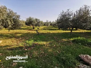  4 قطعة أرض مميزة في السلط الصبيحي سيحان بسعر مغري بمنطقة جميلة