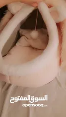  4 بيت قطه غير مستعمل