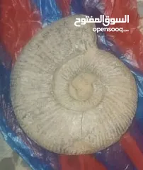  2 حجر الااومنيت الااثريه المشتري يتواصل معي