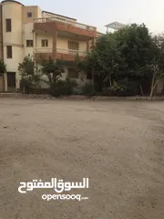  1 شاليه بالعين السخنه للبيع او الايجار