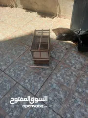  4 مصيده عصافير  وطيور وبلابل وحسون وحمام  ملطش لم يستعمل ومصيده ذكيه