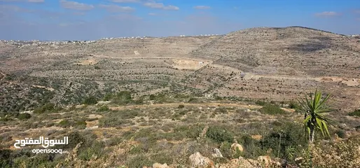  4 قطعة ارض للبيع في بلدة عطارة