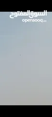  1 فرخين باكستاني نقط بجو مستوا بهزه