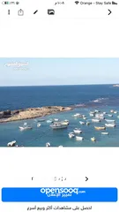  13 ميامي بير مسعود مباشر بحر من المالك فيو رائع ع البحر وسط الاسكندريه