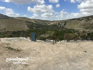  8 استراحة استثماريه للبيع مطله على وادي الريان قوشان مستقل 3،5 دونم مشجرة بالكامل مع مواقف سيارات