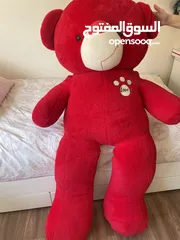  1 big red bear
