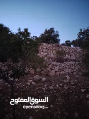  17 ارض للبيع مساحة4300م وعلى الواقع 12دونم تصلح بيت ريفي شاليه ارض زراعيه ويوجد فيها بيت قيد الانشاء