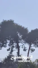  15 وحش الألعاب POCO X7 Pro بمساحة 512 جيجا و 12 جيجا رام
