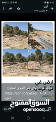  2 شارع اربد جرش عمان منطقة مرصع قرب عسل العنبتاوي بين جسر سلحوب و جسر تل الرمان شمال عمان
