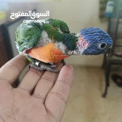  4 ماشاء الله لا قوة إلا بالله