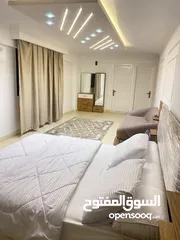 14 للايجار اليومى - الشهرى 3 غرف شقة فندقية بالمهندسين شارع شهاب  ( السعر يومى وليس شهرى)