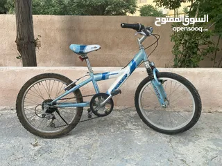  1 بسكليت ياباني اصلي نمرة 20