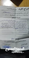  6 باسات 1998 للبيع او بدل وبزيدك كاش