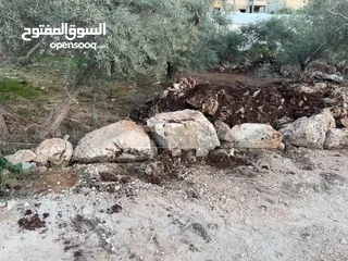  2 نصف دونم للبيع - اكتابا